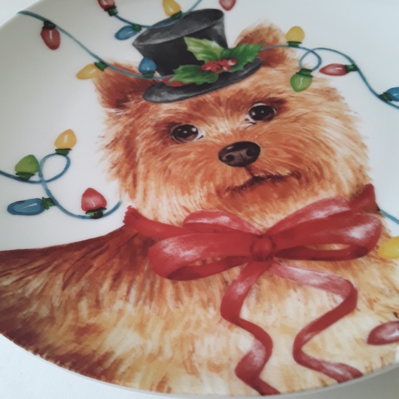 Plate Christmas lights on yorkie dog - Picture 4 of 4